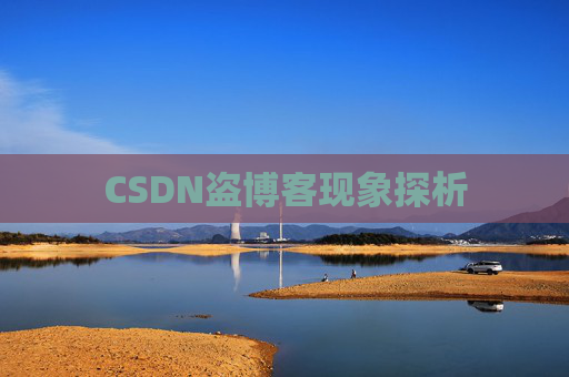 CSDN盗博客现象探析